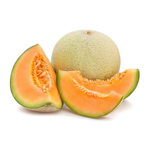 Melon - unit