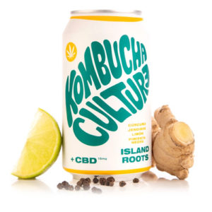 CBD Island Roots Kombucha Culture (turmeric, ginger, lemon, pepper and 15 mg of CBD) - 355ml