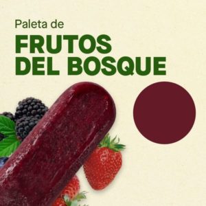 Helado Frutos del Bosque - Ticoleta