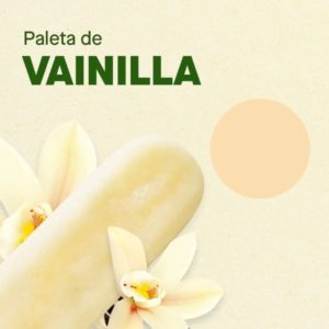 Helado Vainilla - Ticoleta