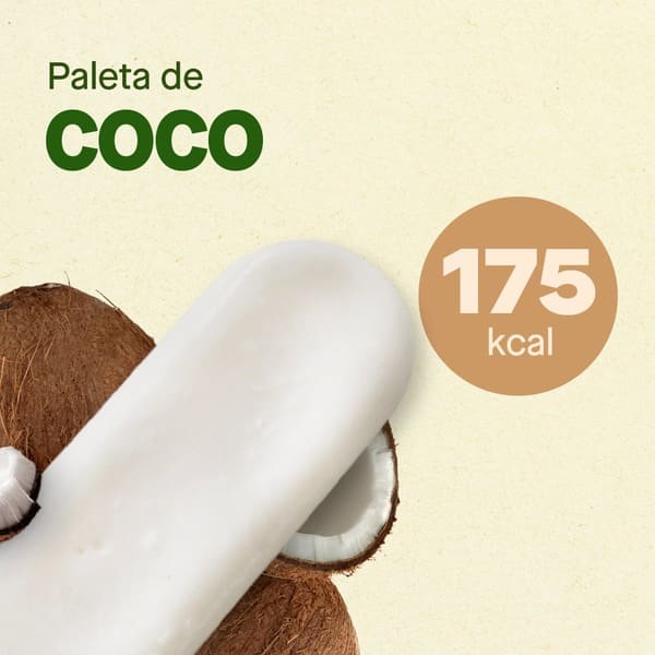 Helado Coco - Ticoleta