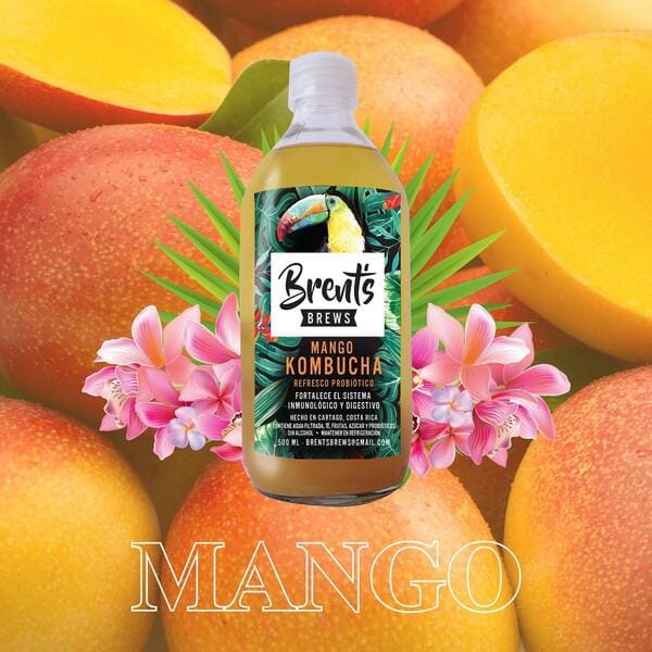Brent's Kombucha Mango - 500 ml