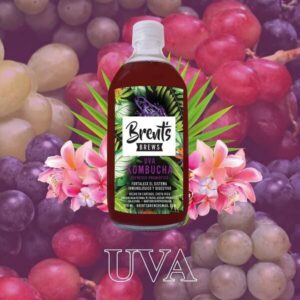 Brent&#039;s Kombucha Grape - 500 ml