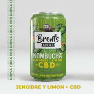 Kombucha Jengibre y Limón + Power -  350 ml - Brent's