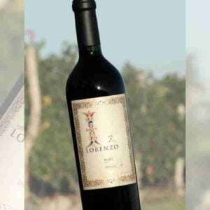 Lo Bendito Malbec from Lorenzo Wines 750ml